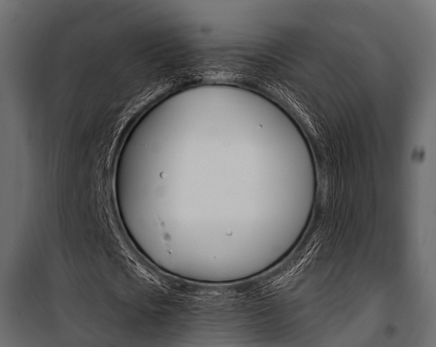 X0000100930721200806241137