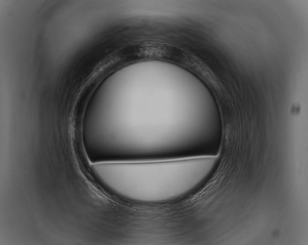 X0000100930722200806241137