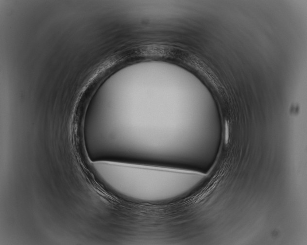 X0000100930723200806241137