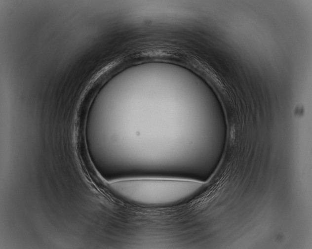 X0000100930724200806241137