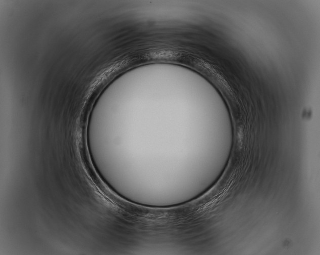 X0000100930725200806241137