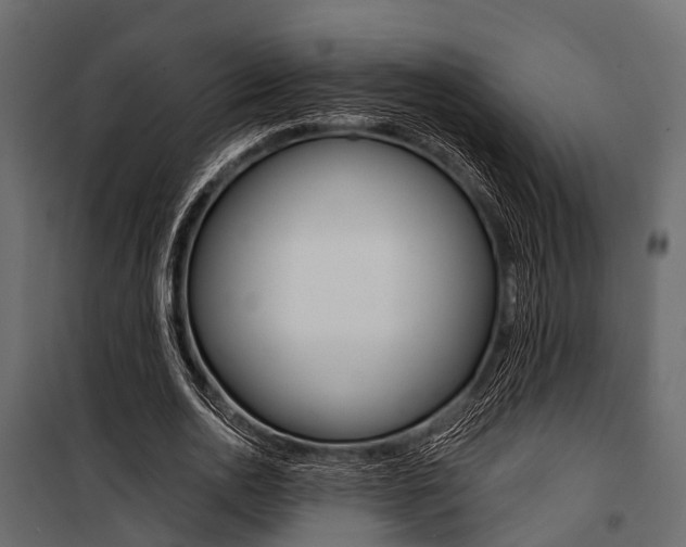 X0000100930726200806241137