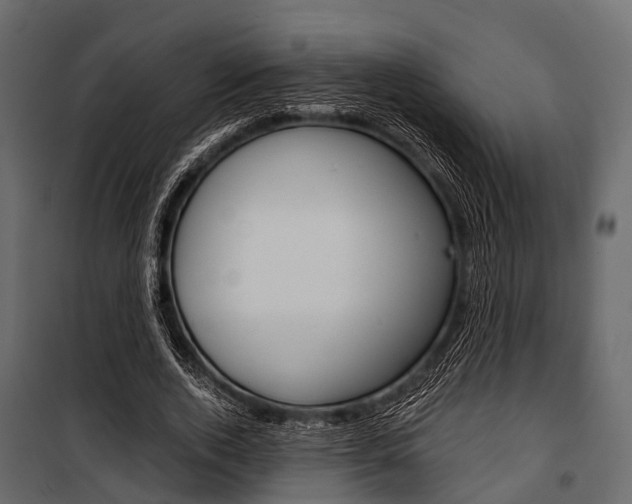 X0000100930728200806241137