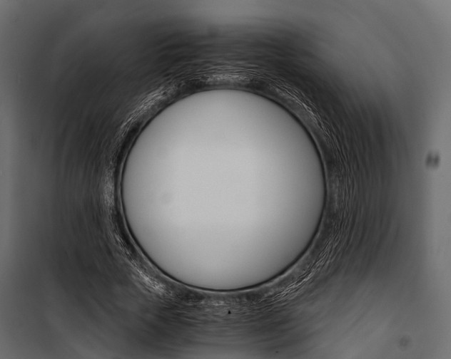 X0000100930729200806241137