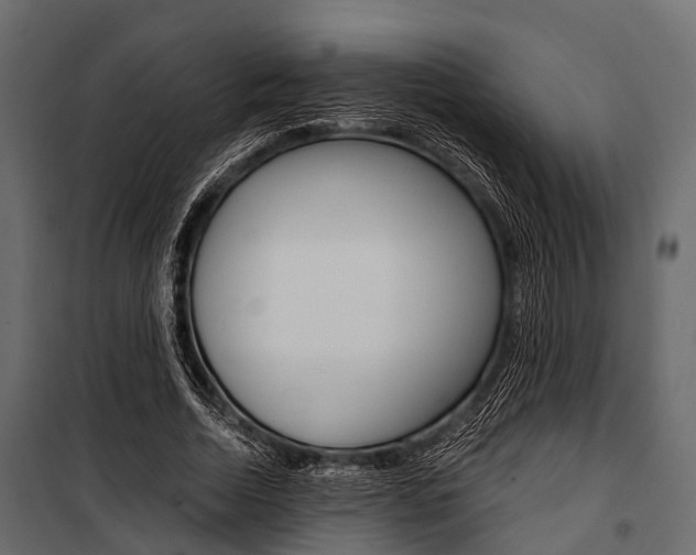 X0000100930730200806241137