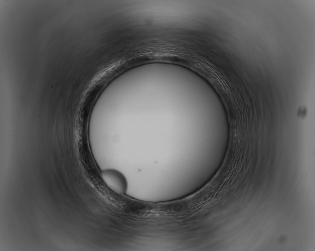 X0000100930732200806241137