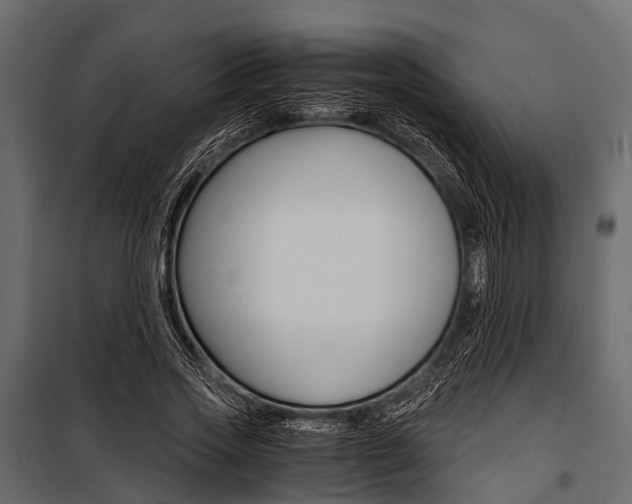 X0000100930733200806241137