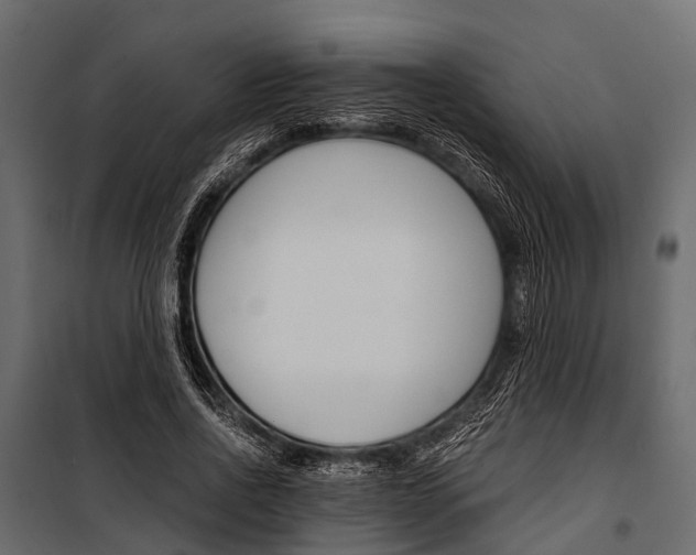 X0000100930734200806241137