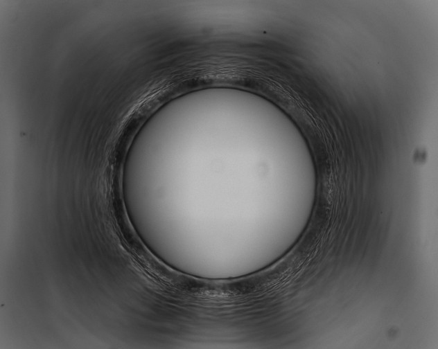 X0000100930735200806241137