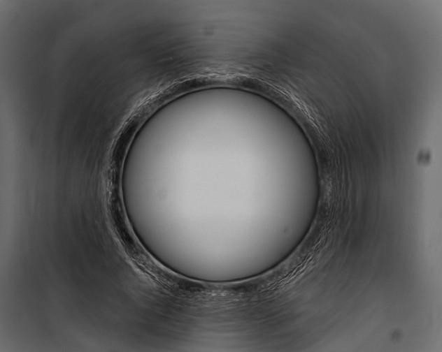 X0000100930736200806241137