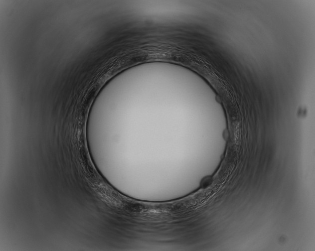 X0000100930737200806241137