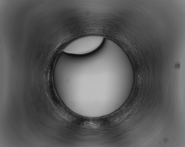 X0000100930739200806241137