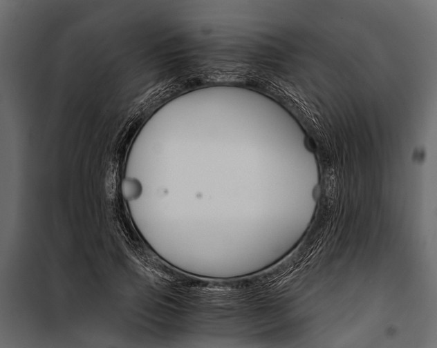 X0000100930741200806241137