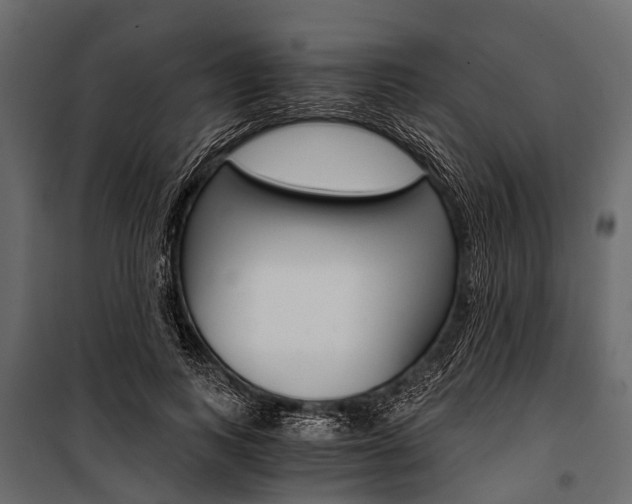 X0000100930743200806241137