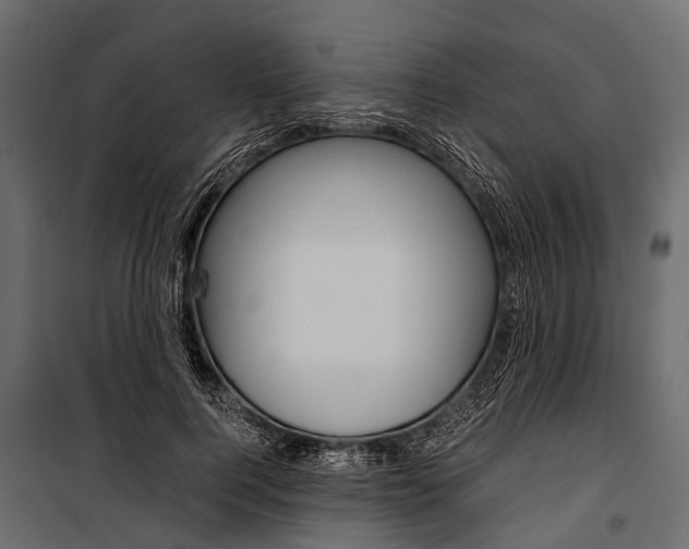 X0000100930744200806241137