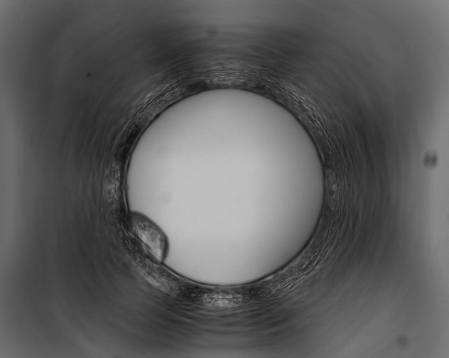 X0000100930745200806241137