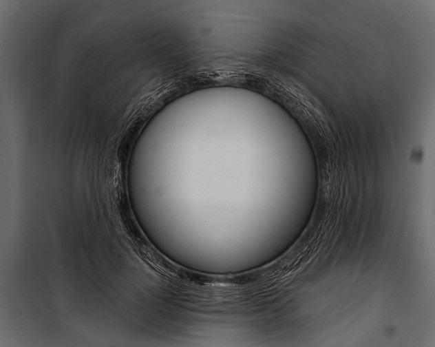 X0000100930748200806241137