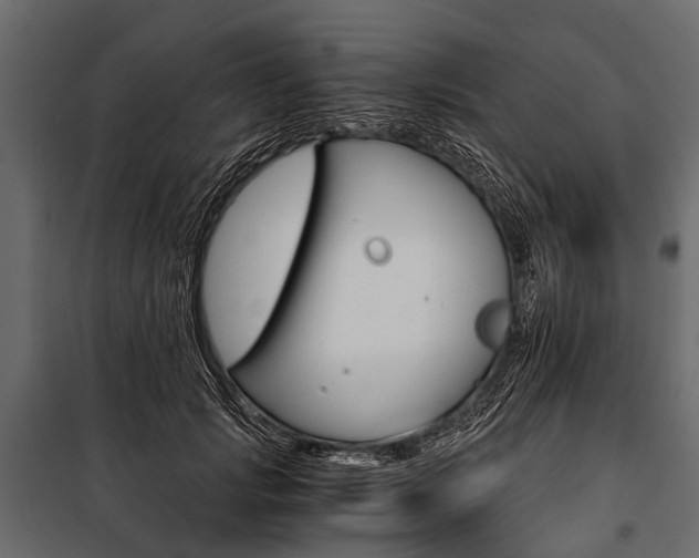 X0000100930749200806241137