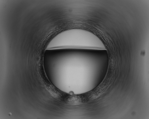 X0000100930750200806241137