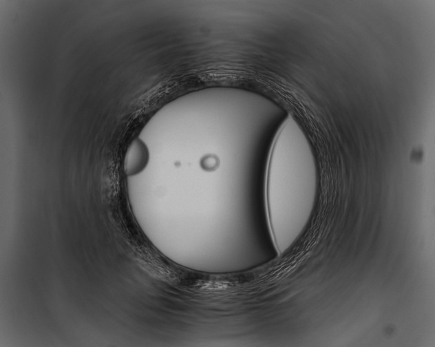 X0000100930751200806241137