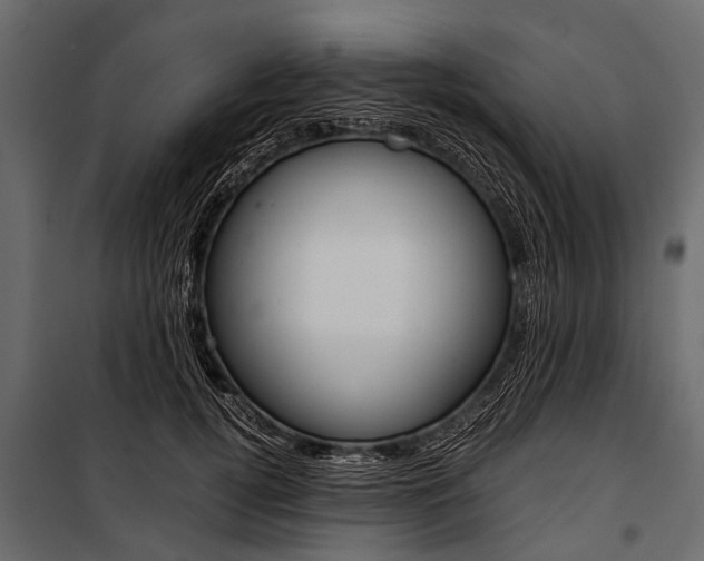 X0000100930752200806241137