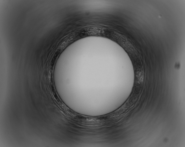 X0000100930753200806241137