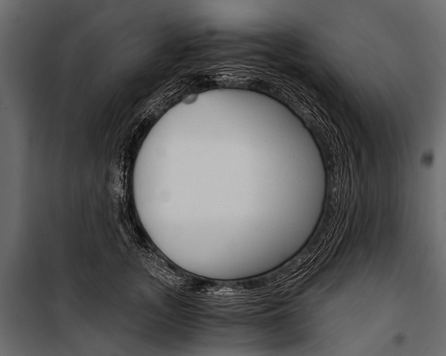 X0000100930755200806241137