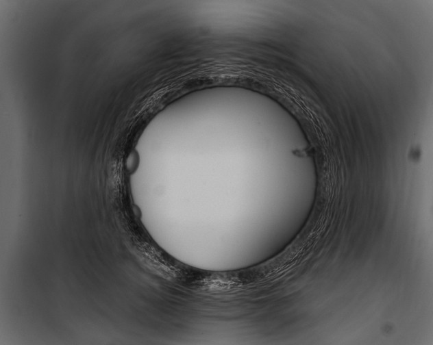 X0000100930756200806241138