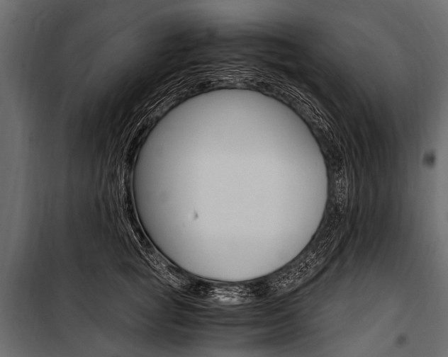 X0000100930757200806241138