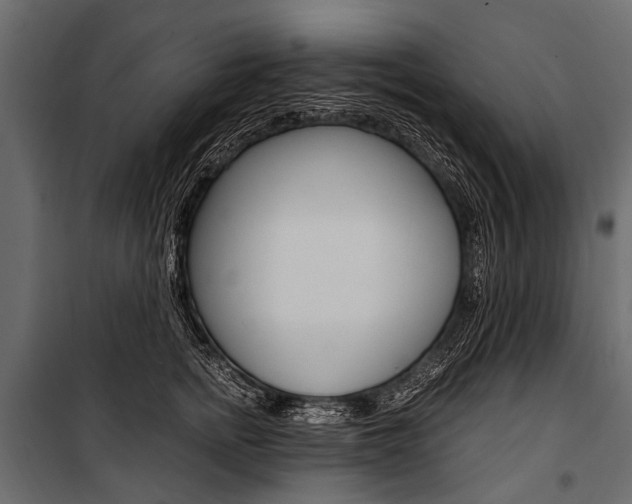 X0000100930758200806241138