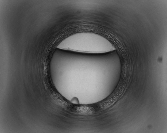 X0000100930759200806241138