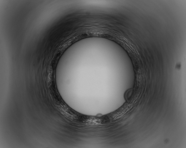 X0000100930760200806241138