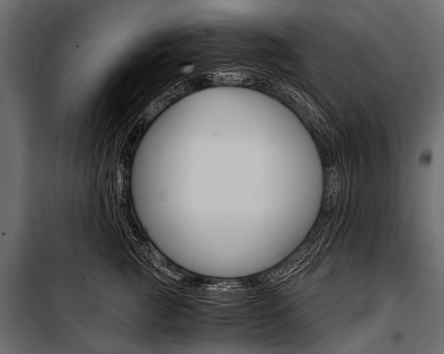 X0000100930761200806241138