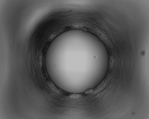 X0000100930762200806241138