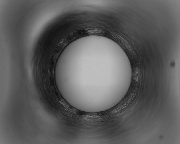 X0000100930763200806241138