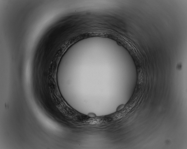 X0000100930764200806241138