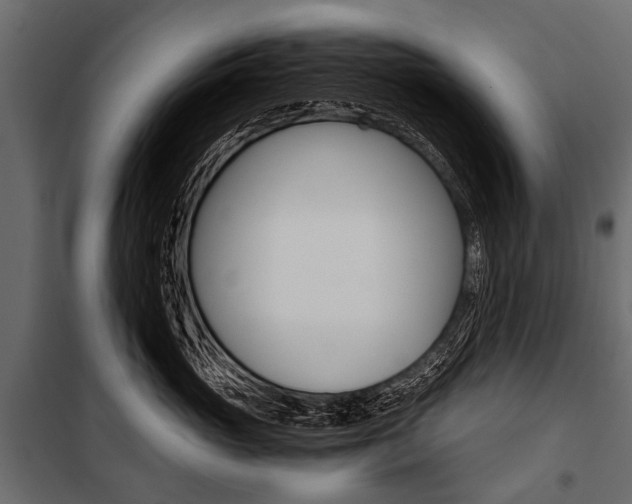 X0000100930765200806241138