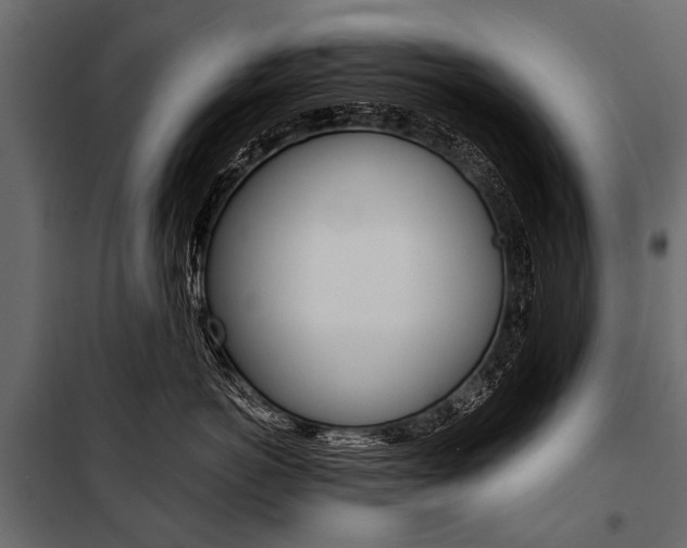 X0000100930766200806241138