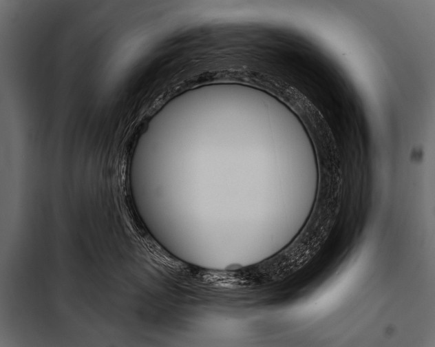 X0000100930767200806241138