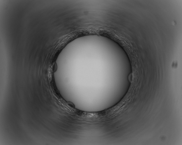 X0000100930768200806241138