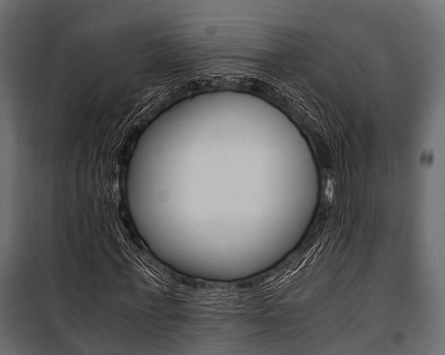 X0000100930771200806241137