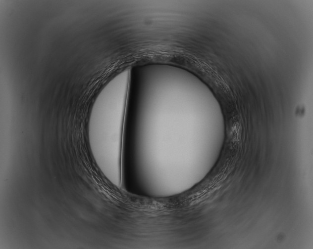 X0000100930772200806241137