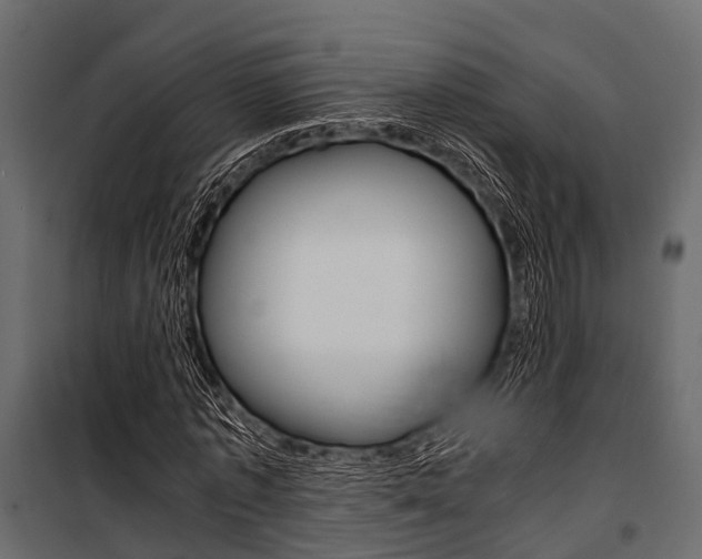 X0000100930773200806241137