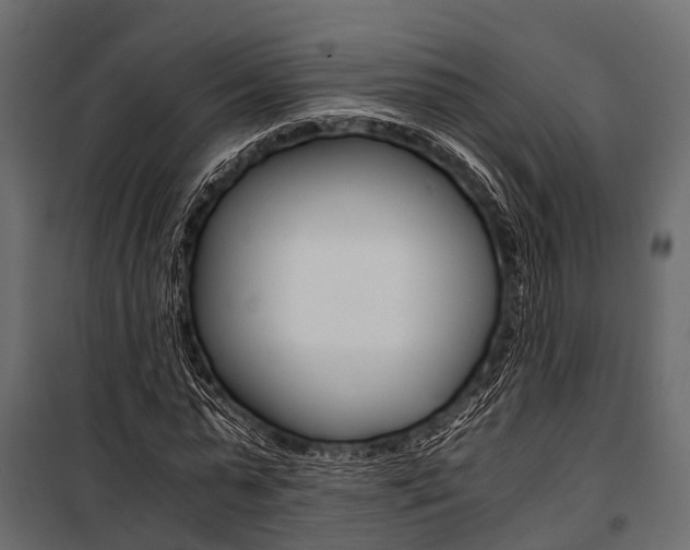 X0000100930775200806241137