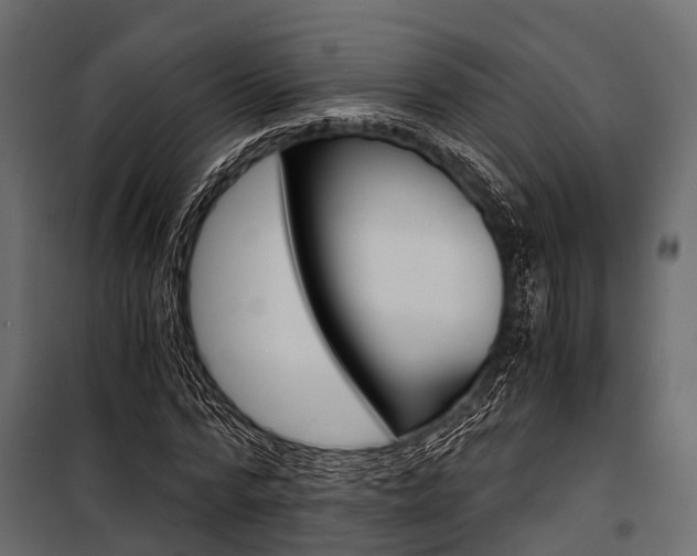 X0000100930776200806241137