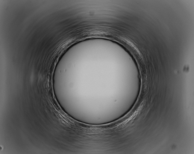 X0000100930777200806241137