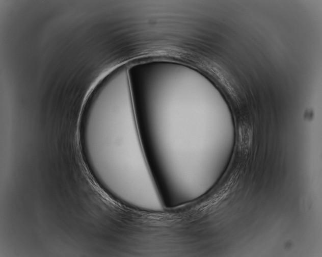 X0000100930780200806241137