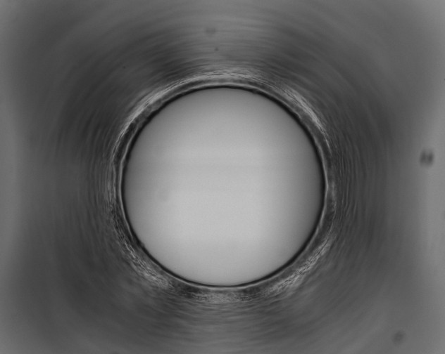 X0000100930781200806241137