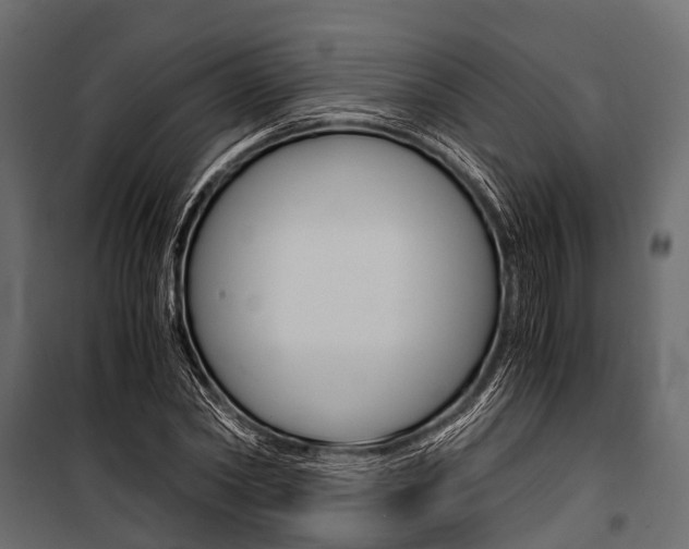 X0000100930782200806241137