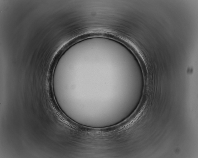 X0000100930783200806241137